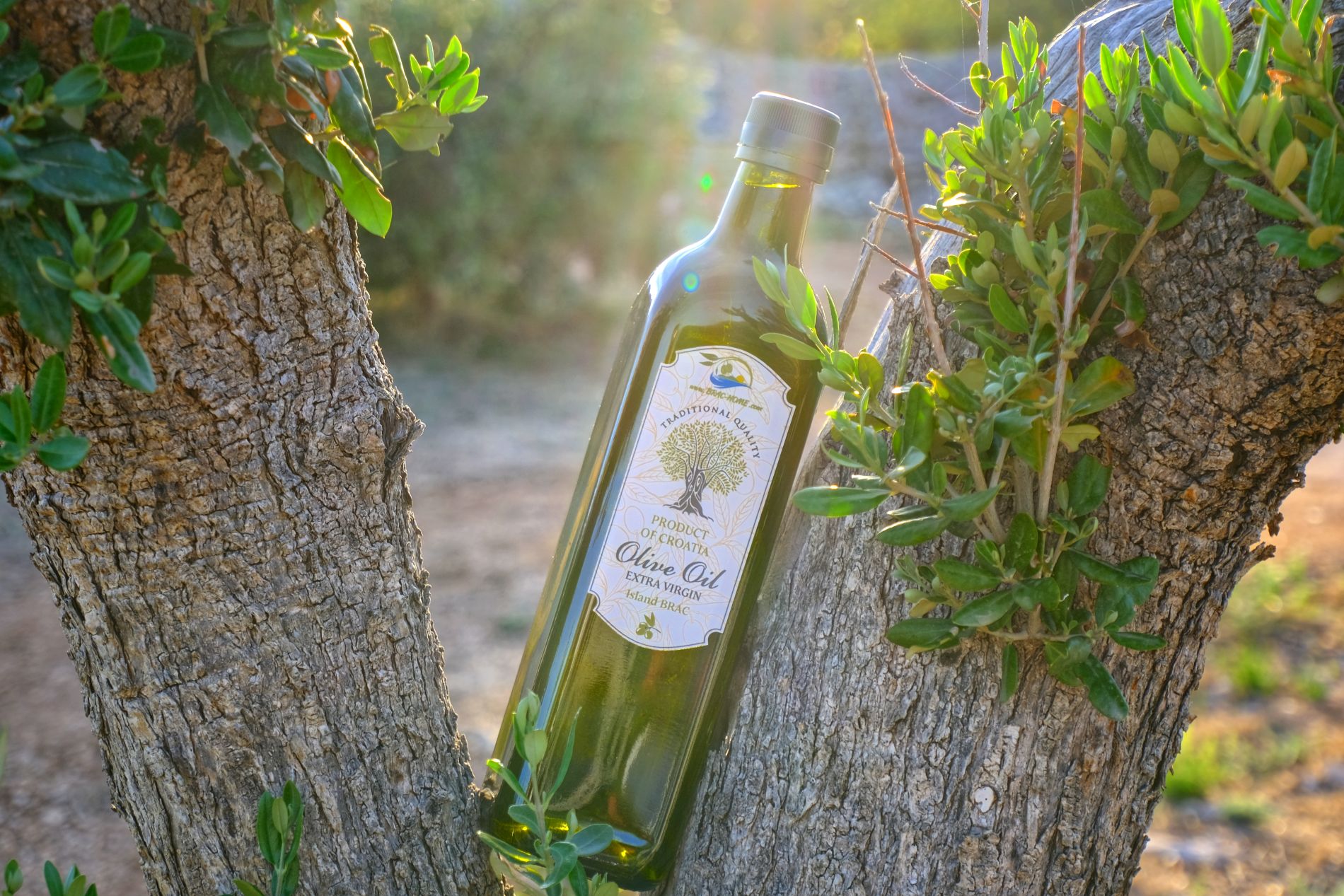 2022_0902_18271200-01 (1)